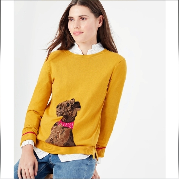Joules Sweaters - Joules Mustard Sweater with Dog Motif